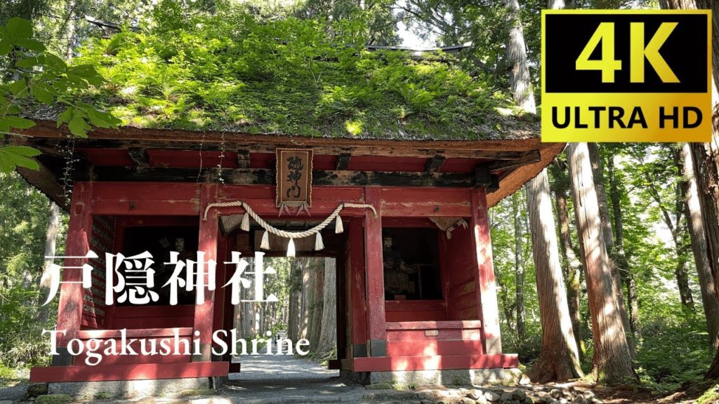 Nagano, Togakushi Shrine Japan Walking Tour