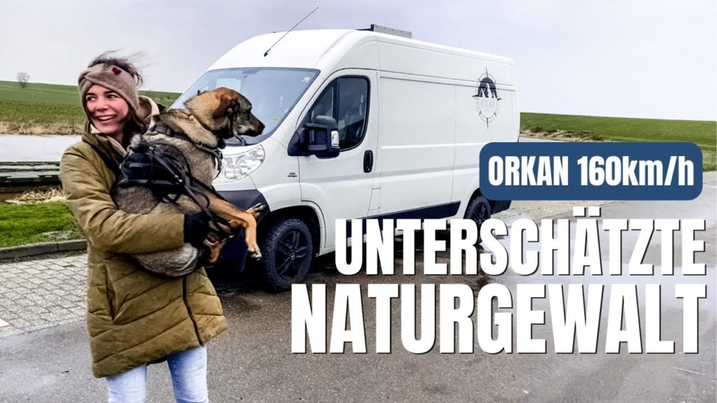Wo finden wir SCHUTZ mit unserem VAN? | WINTER CAMPING in den Niederlanden | Van Life Europe Ep. #32 Wo finden wir SCHUTZ mit unserem VAN? | WINTER CAMPING in den Niederlanden | Van Life Europe Ep. #32