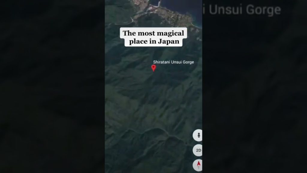 THE MOST MAGICAL PLACE IN JAPAN | Yakushima Island, Kagoshima | Travel Hidden Gem