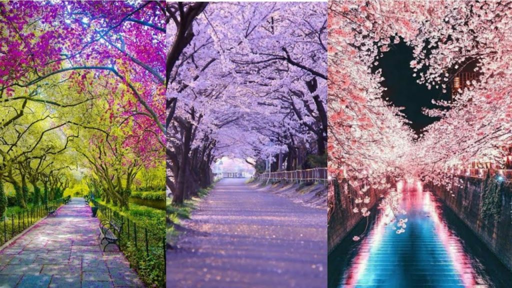 beautiful destinations actual videos that you been searching on Google🌍✈️ part2