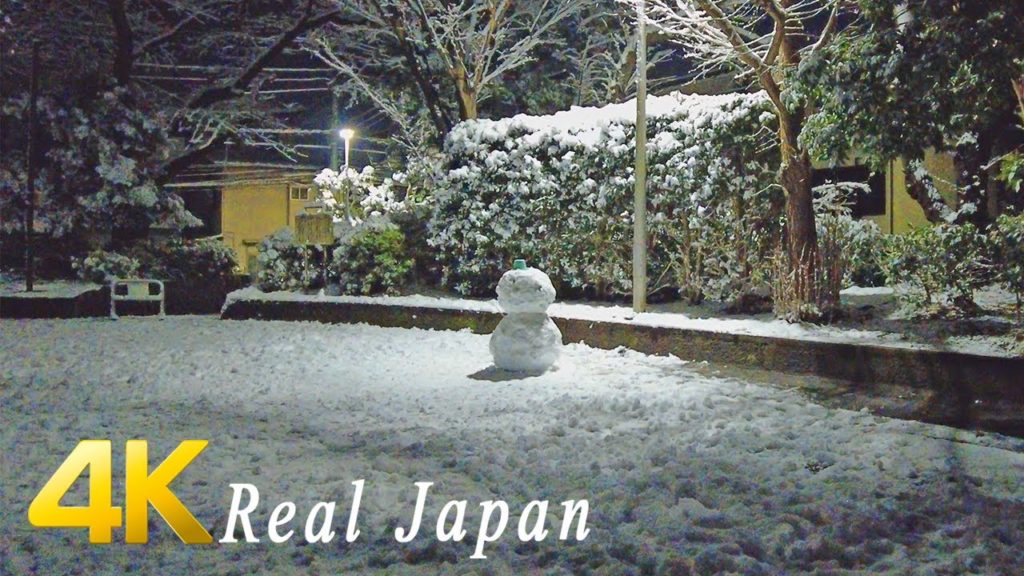 Night Walk around Ikebukuro Station, After the snowfall, Tokyo Japan - ASMR 4K