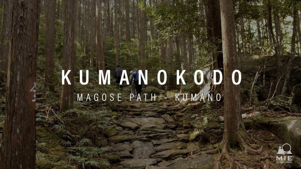 Kumanokodo Magose path - KIHOKU & OWASE