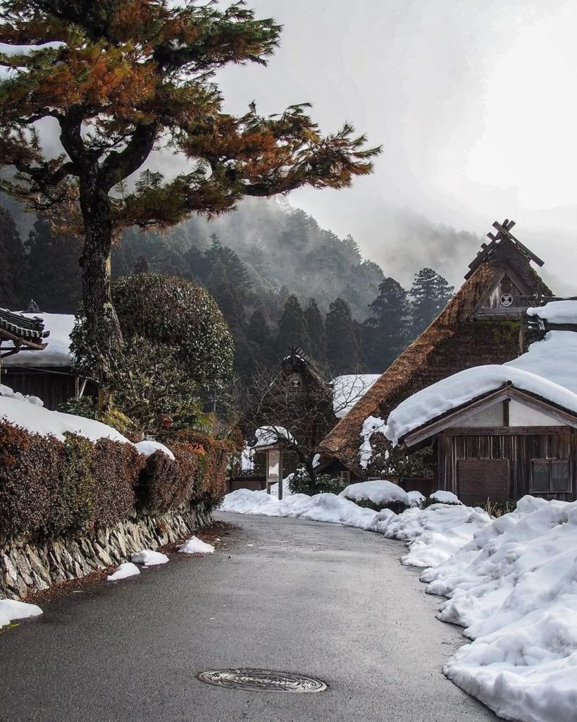 Some beautiful glimpses of the winter months on Kyoto's streets.  All photos t...