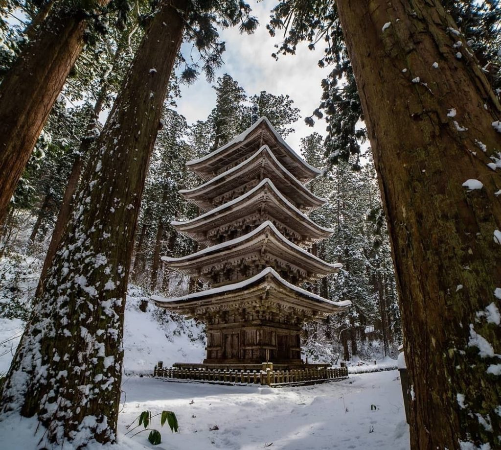 What ancient beauty surrounded by nature. 
Sitting amongst age-old cedar trees, ...