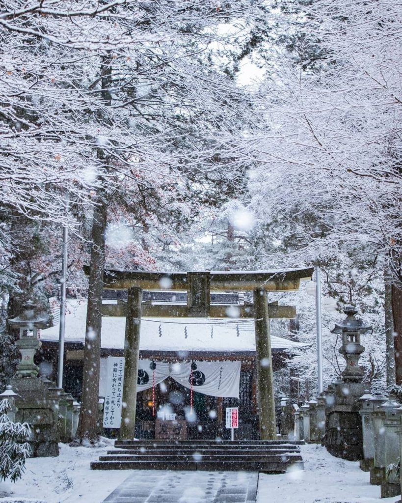 Would you like to walk through this Torii Gate? 
This charming scene is Shirane ...