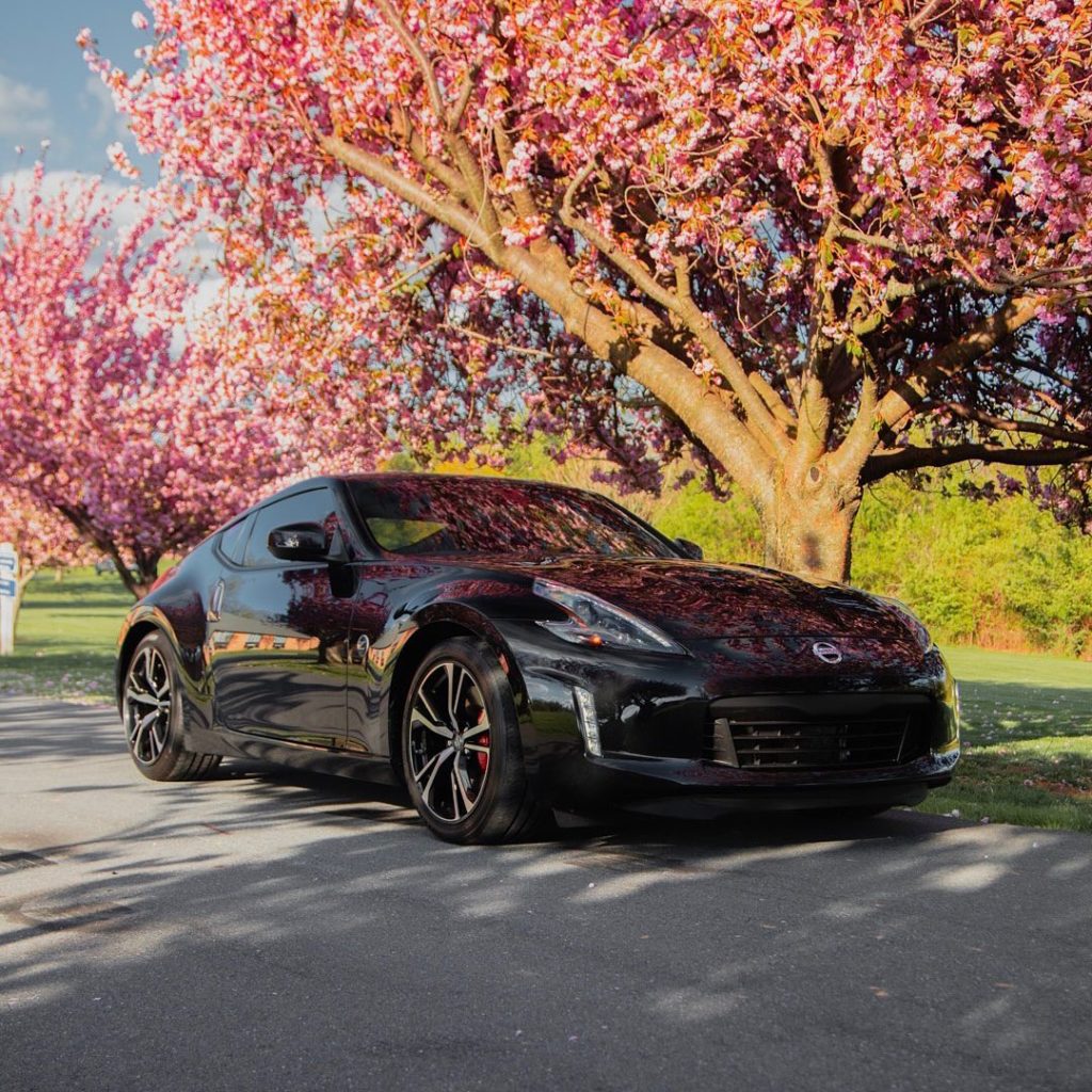 Now that it’s February, can we start getting excited for the first Spring flower...