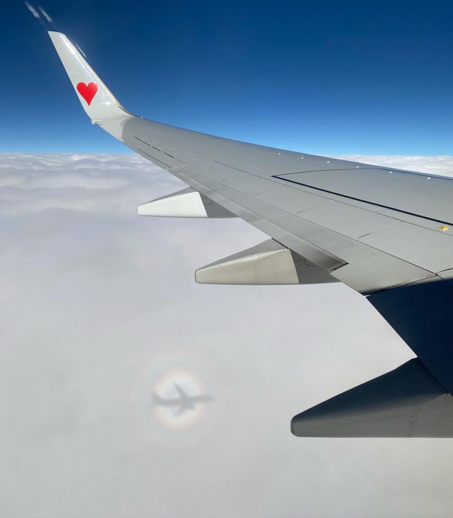 We've got hearts in our eyes today, happy Valentine's Day!  Valentine's Day is c...