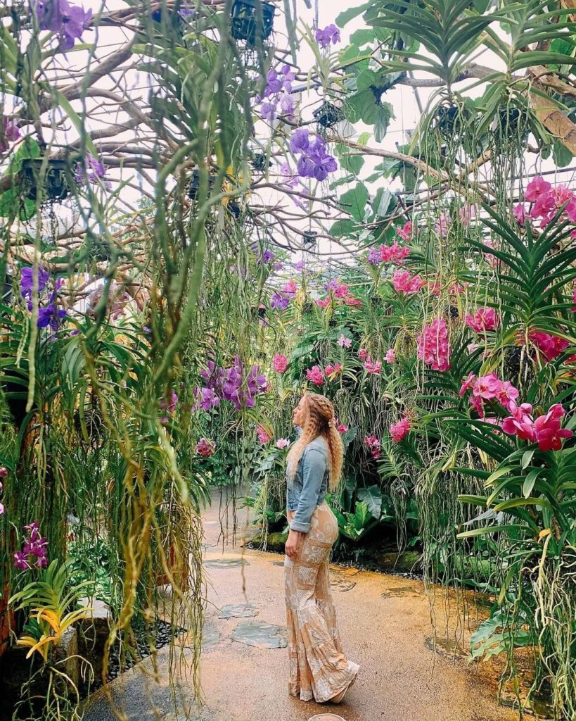 Okinawa’s Tropical Dream Center is a place that manages to feel like summer year...