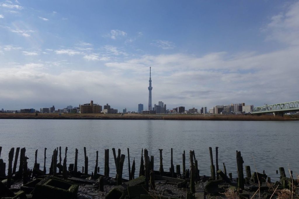 The Japan Times: One of Tokyo’s most important water sources, the Arakawa is also the deadliest r… One of Tokyo's most important water sources, the Arakawa is also the deadliest r...