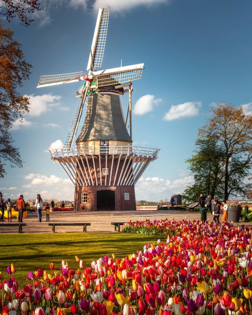 .
3月下旬から5月中旬しか開園しない
#キューケンホフ公園 のチューリップ畑
いつか見に行きたいオランダの春景色
#togetherthisfebruary
...