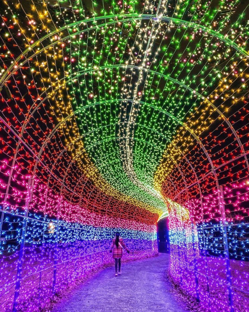 Visit Japan: Twinkle, twinkle, little lights. Tokyo German Village in Chiba Prefecture tran… Twinkle, twinkle, little lights. Tokyo German Village in Chiba Prefecture tran...