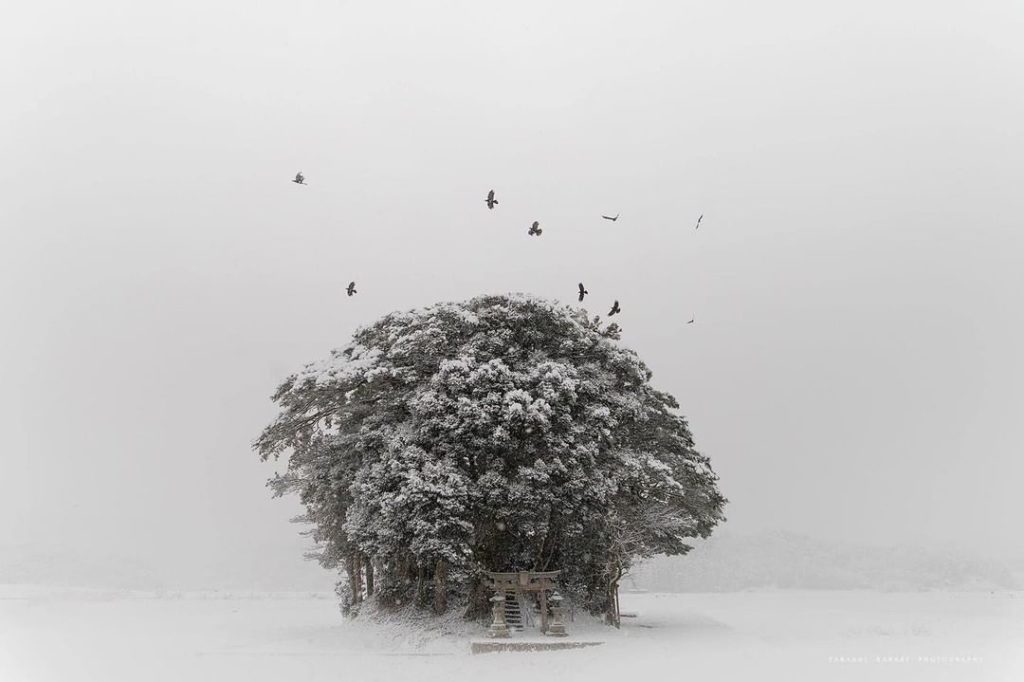 Doesn't this look like it came straight out of an anime? 
Surrounded entirely by...