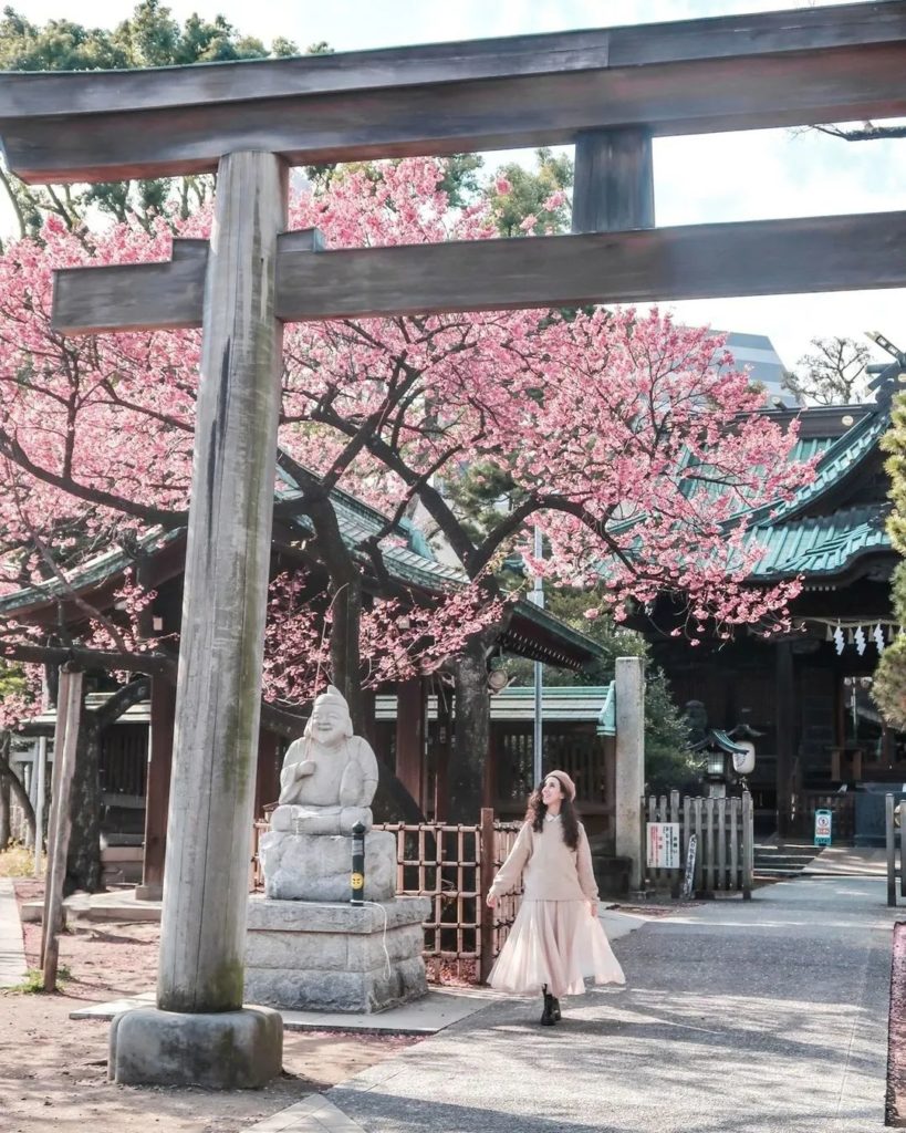 Japan Travel: It’s that time of year when we’re all on Blossom Watch, and we’ve been tagged in… It's that time of year when we're all on Blossom Watch, and we've been tagged in...