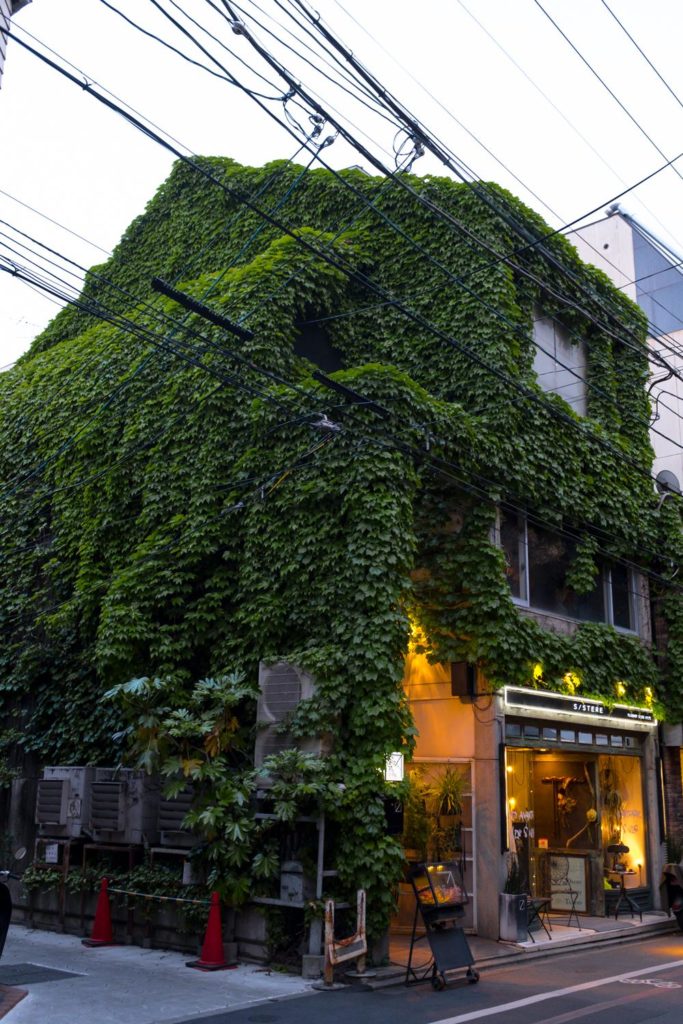 A very luscious store in Kyoto