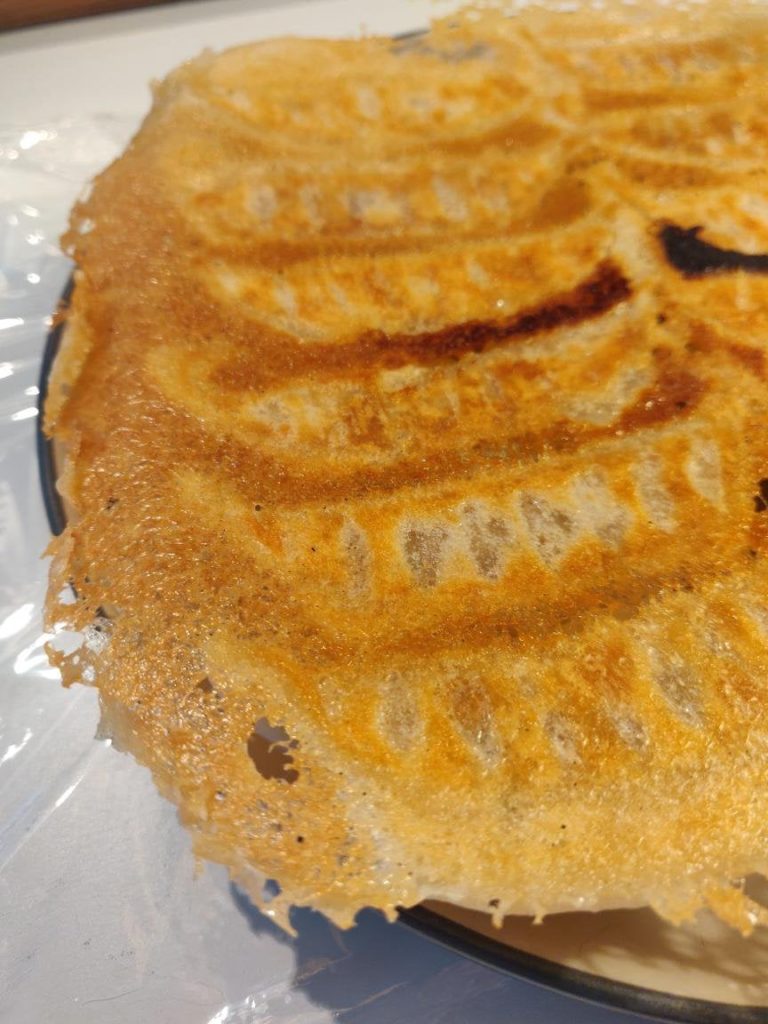 Gyoza about to start flying