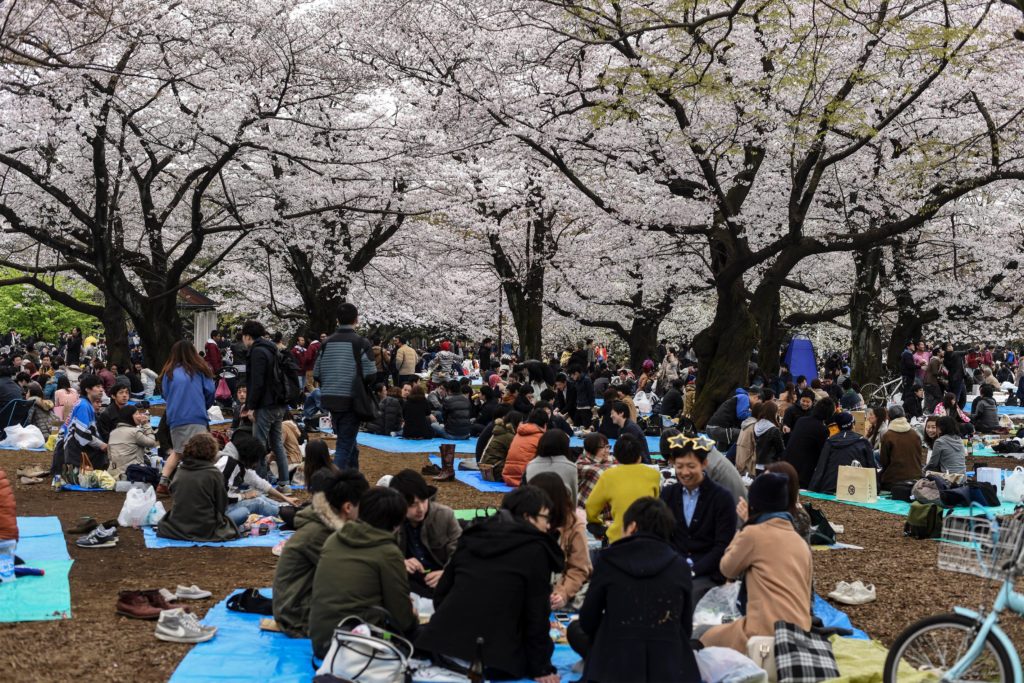 Naoko Park - 2016