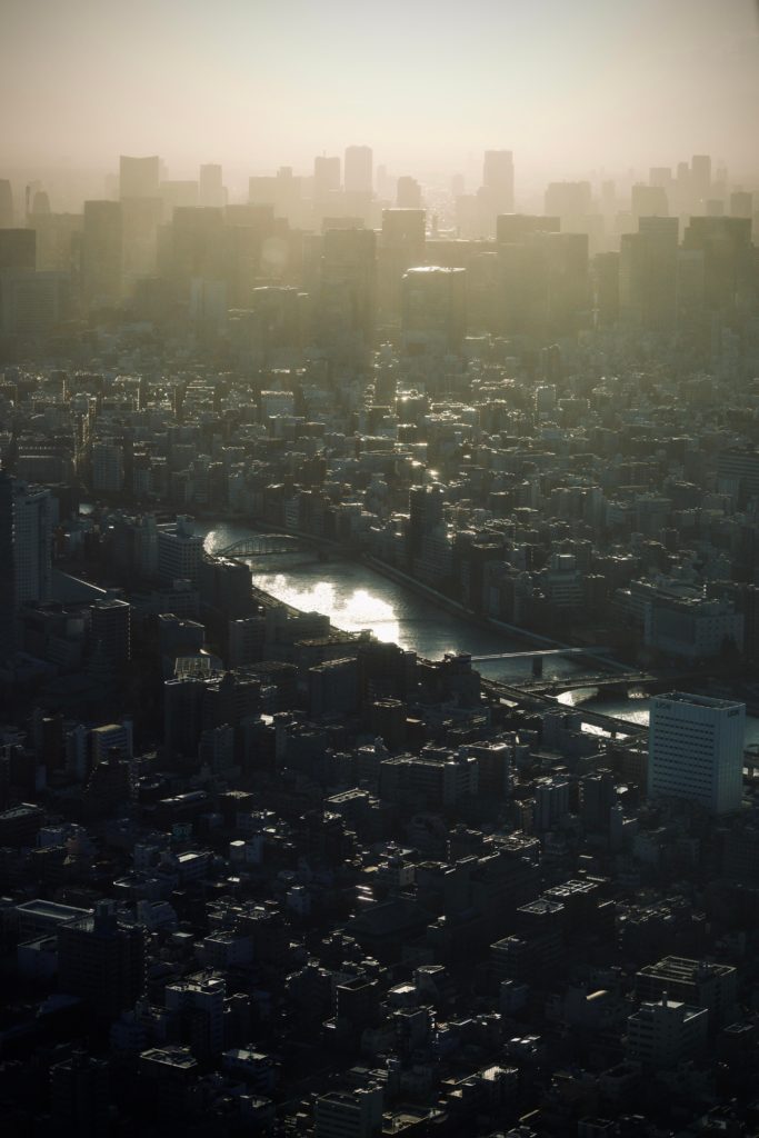 Tokyo at sunset. Taken from Skytree. (OC)