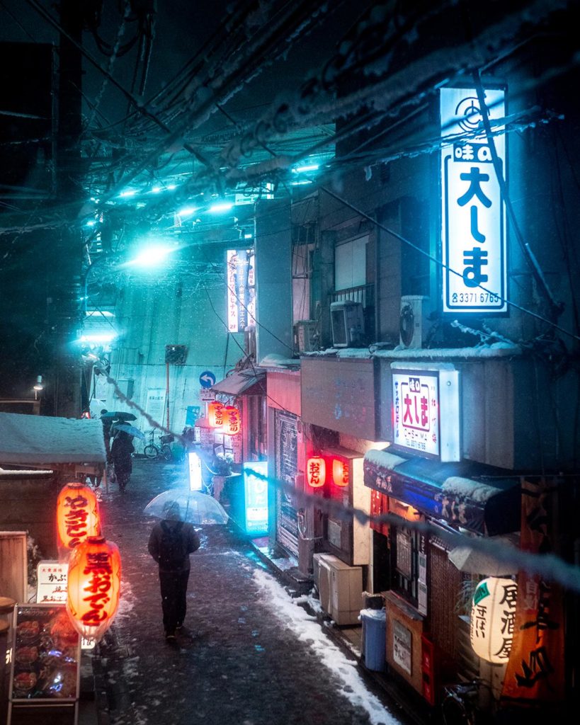 Tokyo Snowfall from January