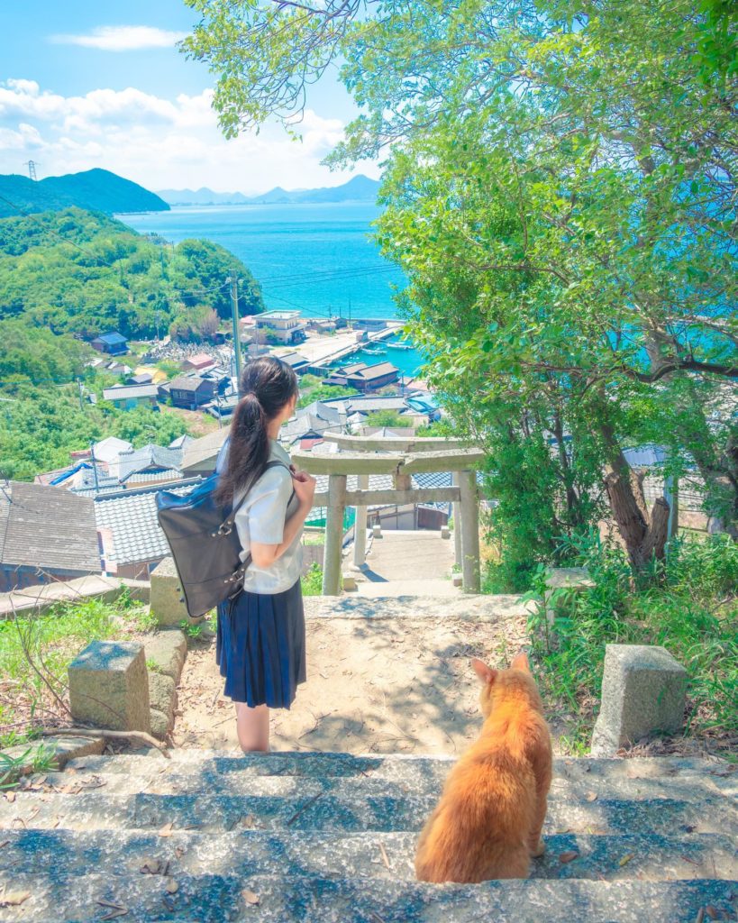 Summer adventure, somewhere in Japan