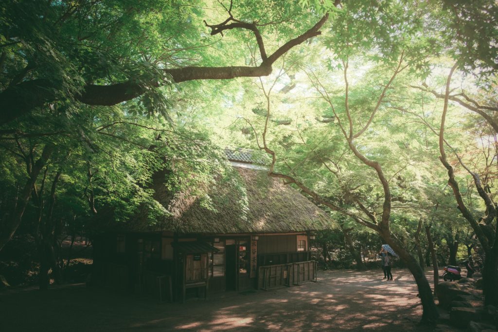 Mizuya-chaya teahouse, Nara