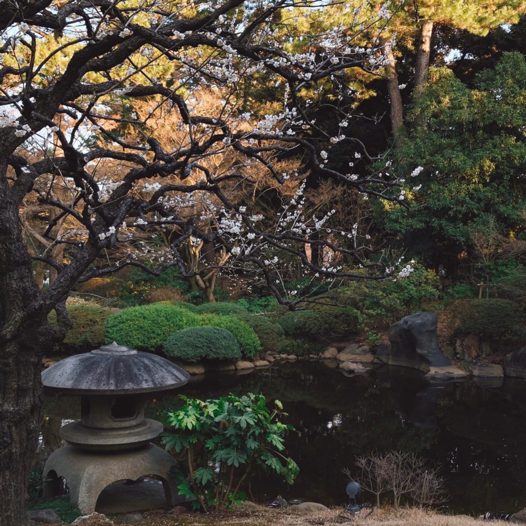 Somewhere in tokyo 2021