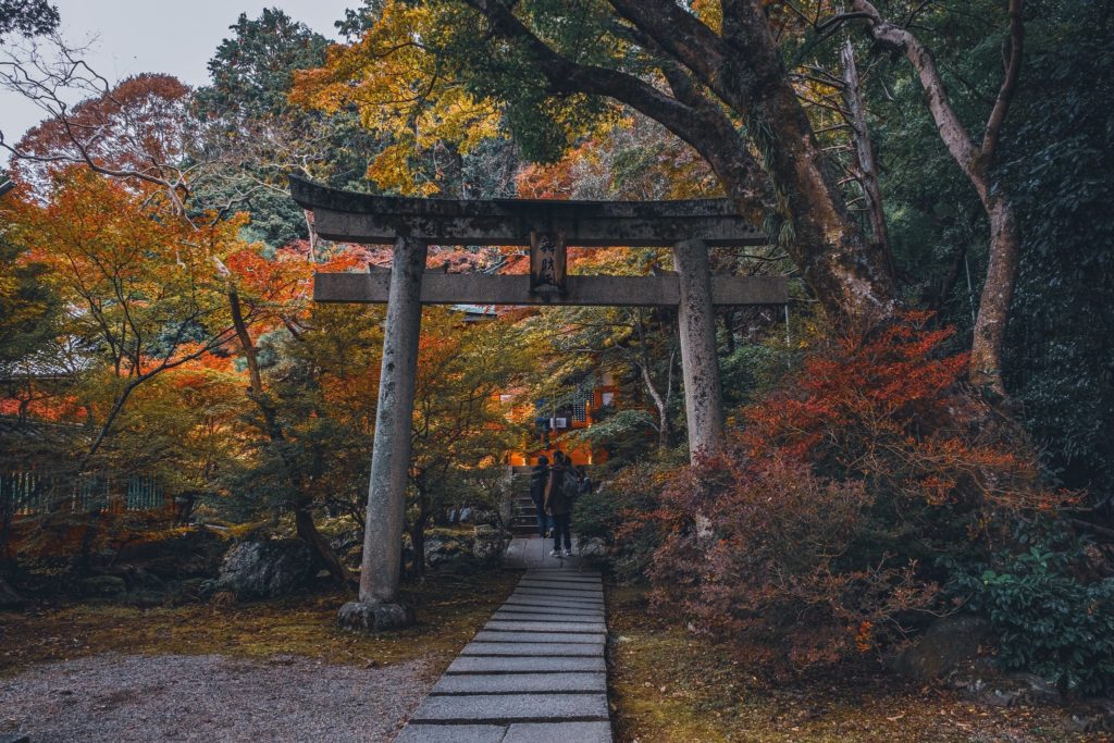 [OC] Torii Gate ⛩️ at Bishamondo Temple in Kyoto