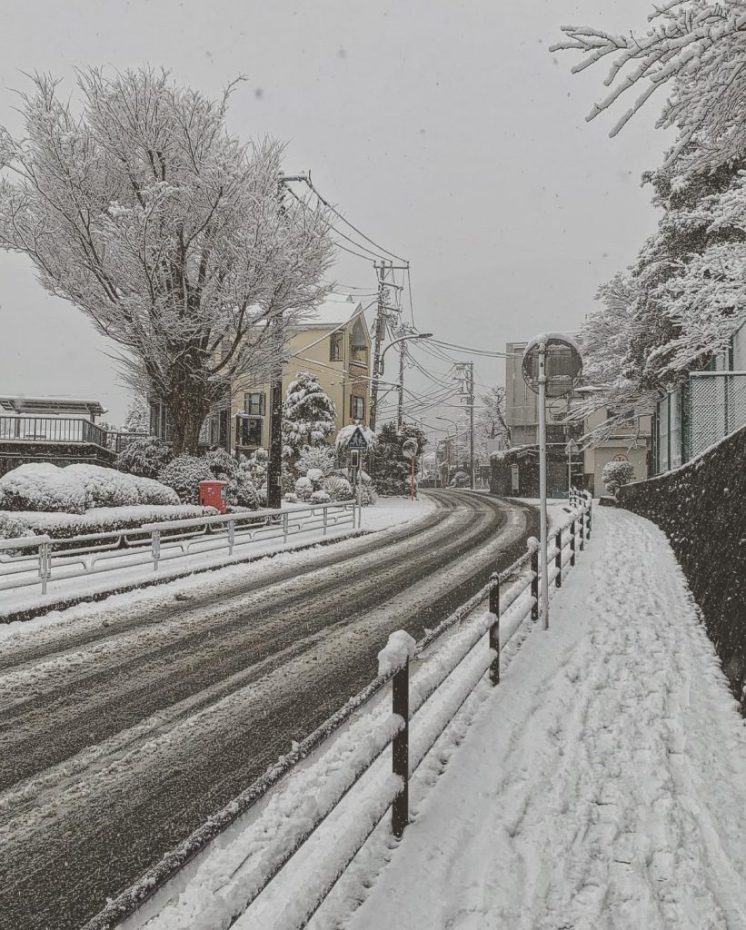 Snow today in Hakone
