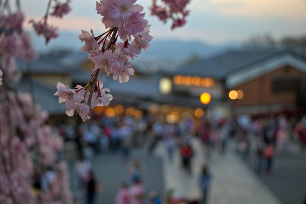 Higashiyama (v2), Kyoto, April 2018 [OC]