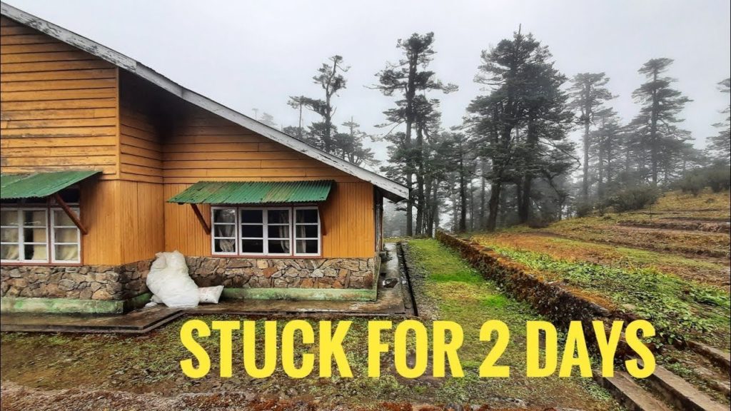 Crossing Fourteen Kilometers of dense forests Crossing Fourteen Kilometers of dense forests