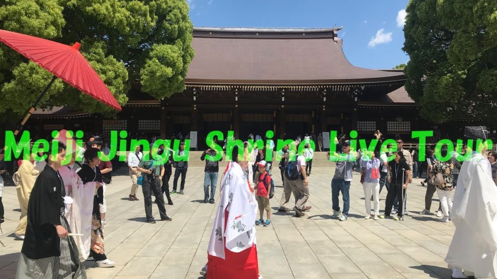 The God's Forest : Meiji Jingu Shrine Live Tour