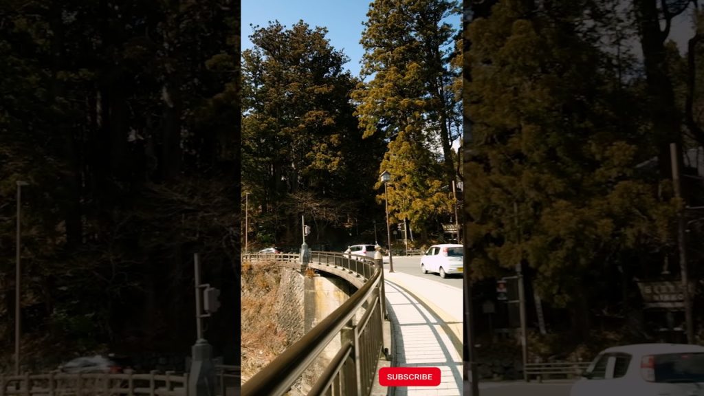 Nikko Japan Walking Tour #shorts