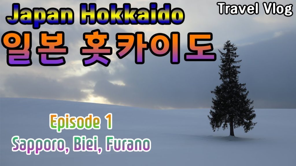 [일본 홋카이도 여행] 삿포로,비에이,후라노 투어 (여행 브이로그) / Japan Hokkaido Travel Vlog #1