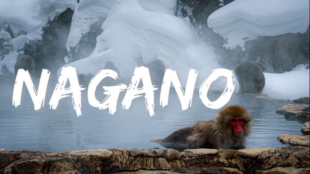 SNOW MONKEY | TOGAKUSHI SHRINE | MATSUMOTO CASTLE | WINTER IN NAGANO | JAPAN | RAMVID #42 SNOW MONKEY | TOGAKUSHI SHRINE | MATSUMOTO CASTLE | WINTER IN NAGANO | JAPAN | RAMVID #42