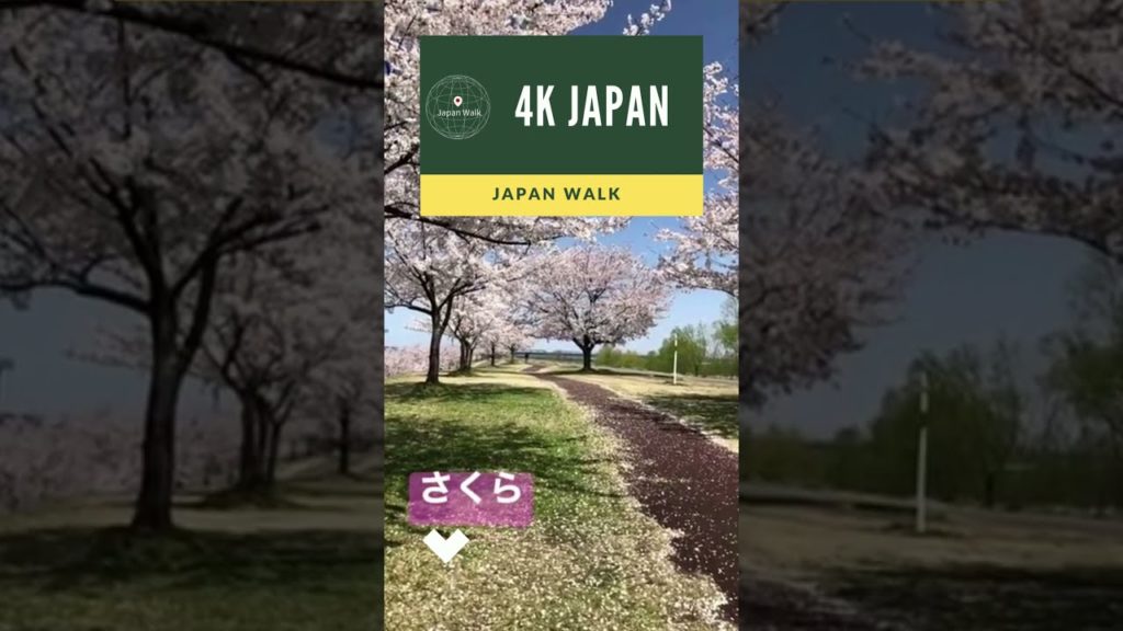 4K Japan Walk –  NIIGATA NAGAOKA Neighborhood Walking Tour | 新潟長岡 2021 4K Japan Walk -  NIIGATA NAGAOKA Neighborhood Walking Tour | 新潟長岡 2021