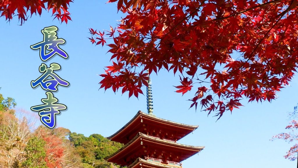NARA. Autumn leaf season of Hasedera Temple 2020. #長谷寺 #4K NARA. Autumn leaf season of Hasedera Temple 2020. #長谷寺 #4K