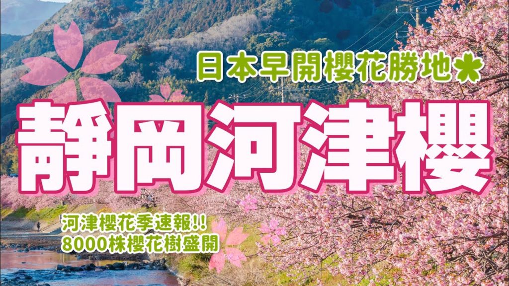 2022櫻花速報🌸靜岡河津櫻花季、東京近郊必去櫻花勝地、賞櫻必吃粉紅鯛魚燒、伊豆急行踊子號直達電車交通攻略、日本靜岡伊豆河津櫻一日賞櫻攻略｜日本旅遊VLOG