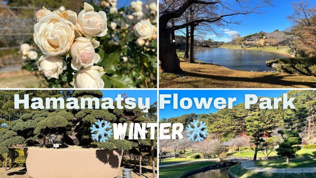 Japan Walk - Beautiful park in Japan(Shizuoka)