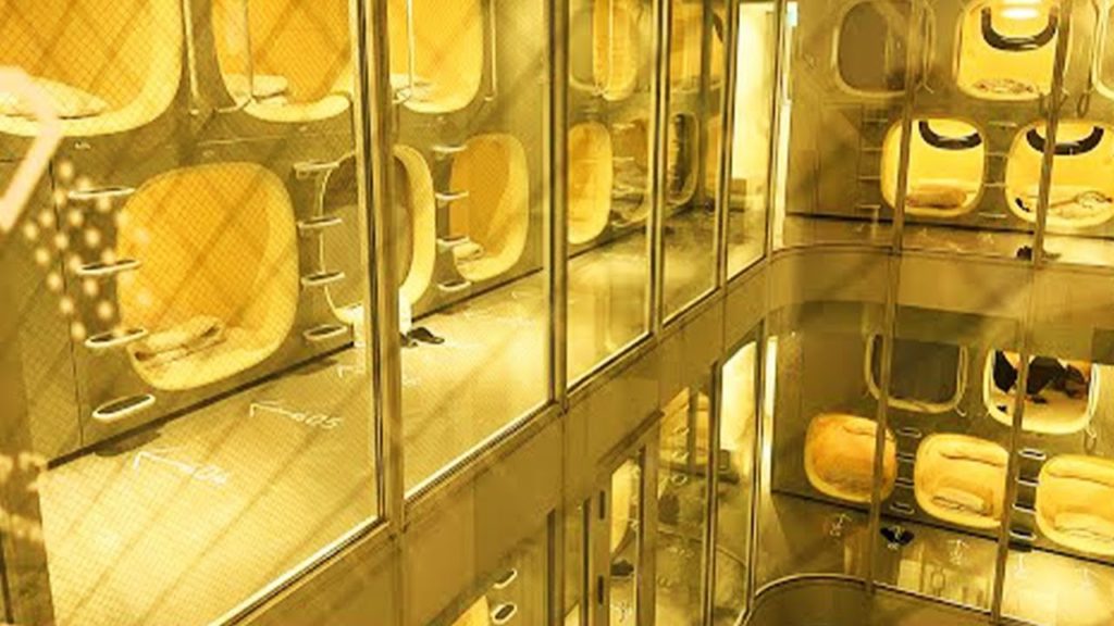 $20 Fantastic Capsule Hotel in Tokyo, Japan | nine hours Otemachi | Japan trip solo