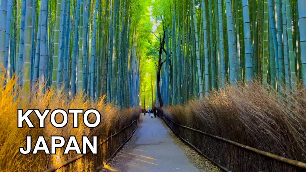 4K KYOTO JAPAN - Kyoto Arashiyama Bamboo Forest Walking Tour | 京都嵐山 2021