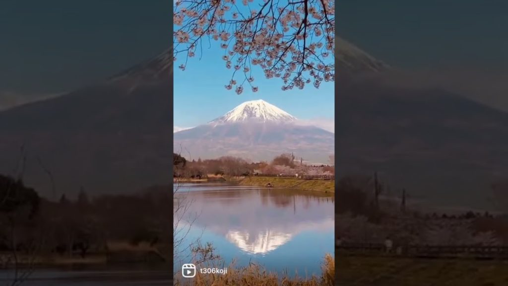 beautiful View mountain Fuji #travel #beautiful #japan #fyp #tiktok #shorts