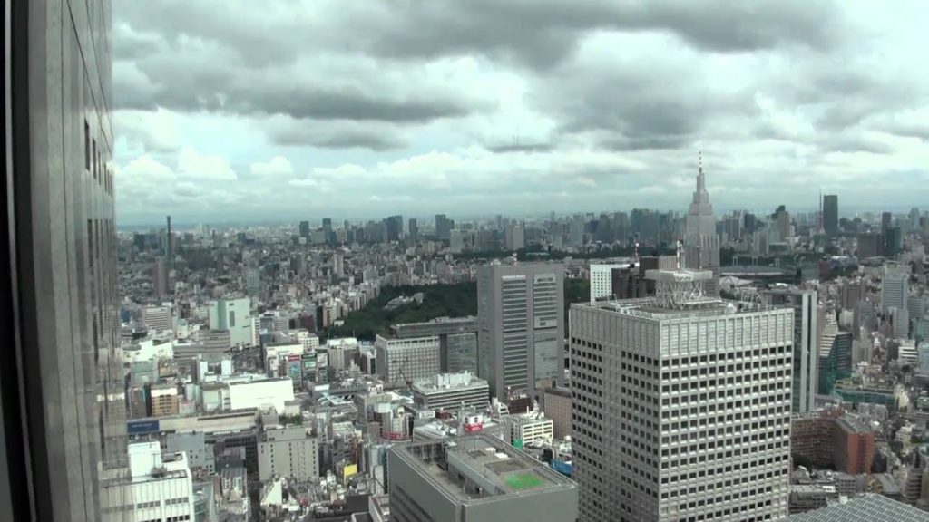 Tokyo Capital overview tour from observation tower