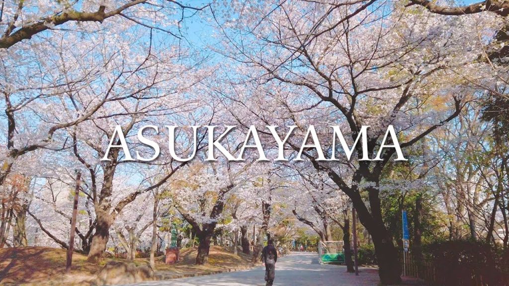 【Japan Walking Tour】CHERRY BLOSSOMS OF ASUKAYAMA PARK / 桜の飛鳥山公園