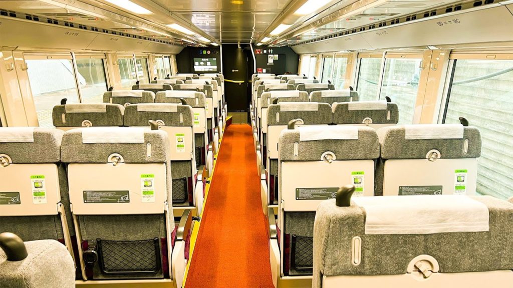 Japan Luxury Train Experience (Chiba→Tokyo) | Sobu and Yokosuka Line