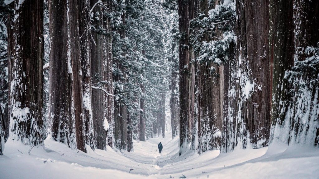 NAGANO JAPAN | Winter Snowscape in My Hometown | 4K Cinematic Travel Film NAGANO JAPAN | Winter Snowscape in My Hometown | 4K Cinematic Travel Film