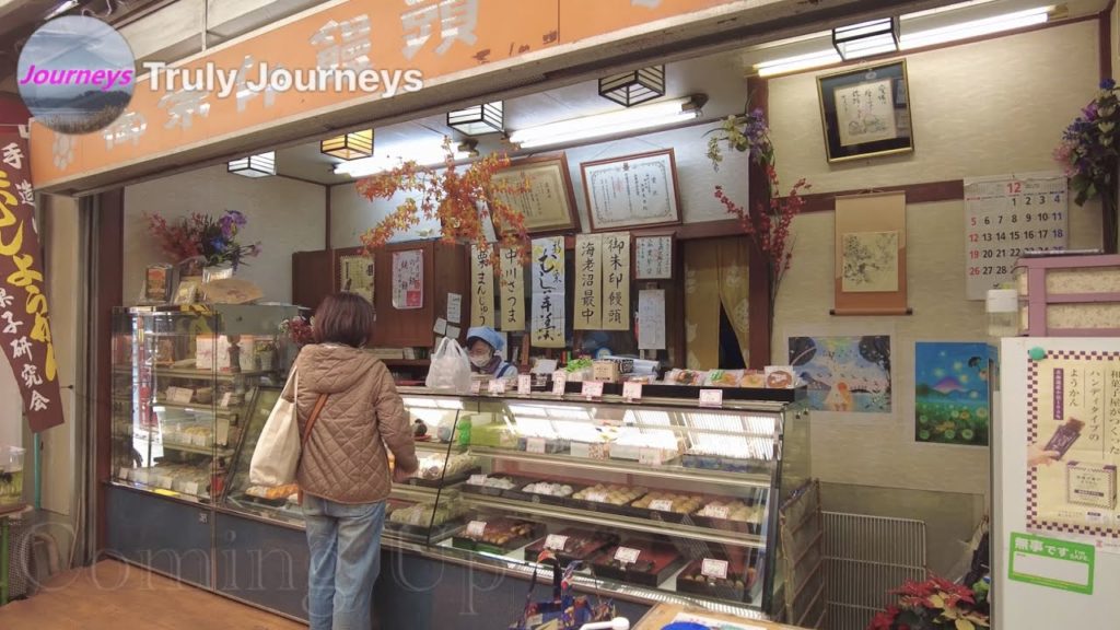 4K Japan Walk – Japanese Houses Tour in Saitama City on a Windy day 13/12/2021- Ambience sounds Asmr 4K Japan Walk - Japanese Houses Tour in Saitama City on a Windy day 13/12/2021- Ambience sounds Asmr