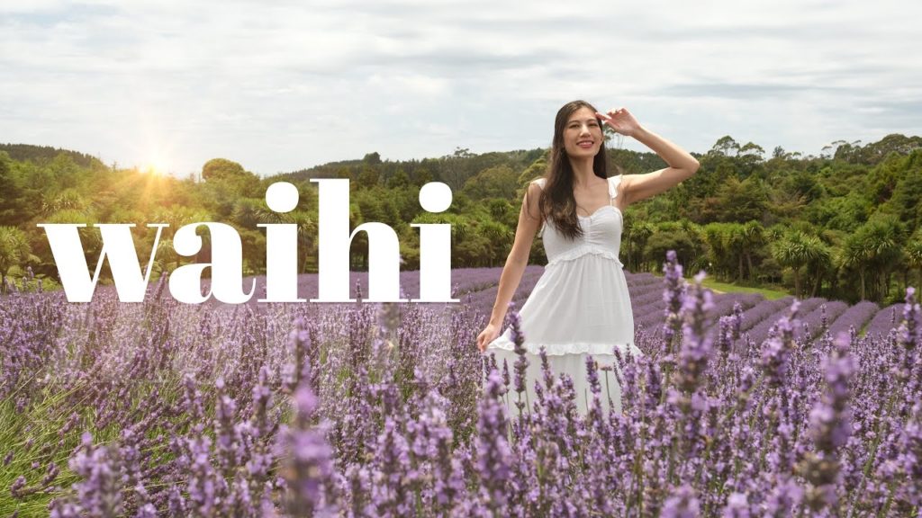Idyllic Waihi Lavender Farm + Historic Victoria Battery | Coromandel, New Zealand