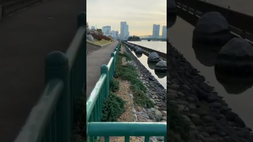 Japan is not only known for cherry blossoms and Mount Fuji #Shorts