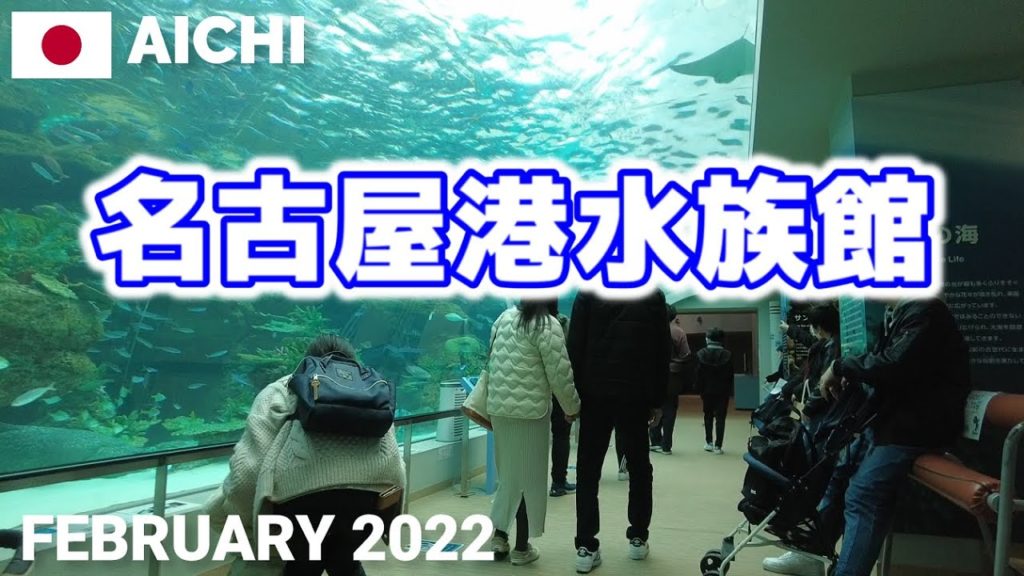 【愛知】名古屋港水族館を歩く2022 日本最大級の水族館! Port of Nagoya Public Aquarium Walking Tour, Aichi, Japan