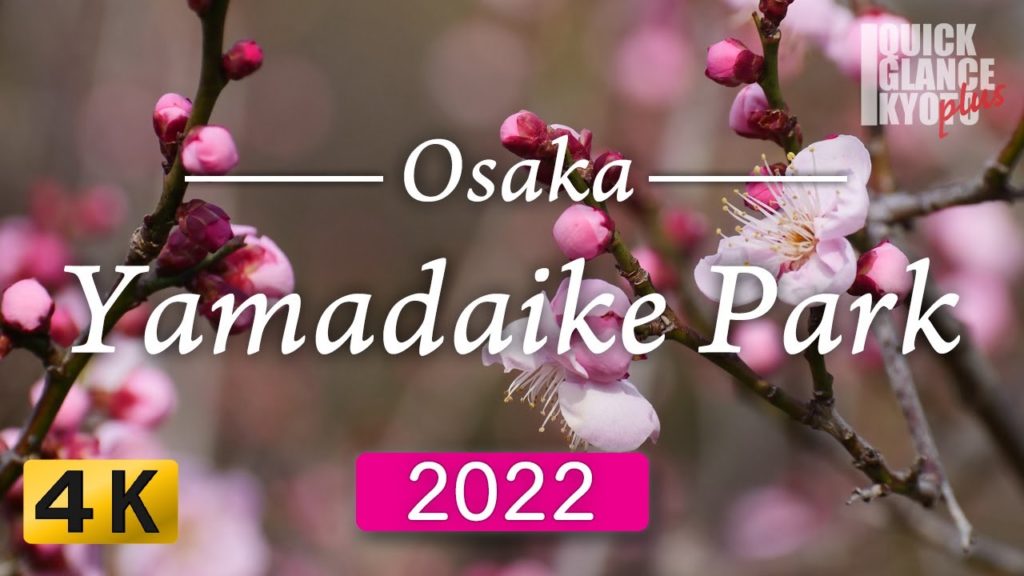 【Plum Garden】Yamadaike Garden :   Plum blossom spots as well-kept-secret place in Osaka.[No.080]
