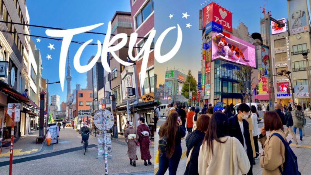 TOKYO TRAVEL VLOG! | PIG CAFES, CHRISTMAS LIGHTS, AND MORE! TOKYO TRAVEL VLOG! | PIG CAFES, CHRISTMAS LIGHTS, AND MORE!